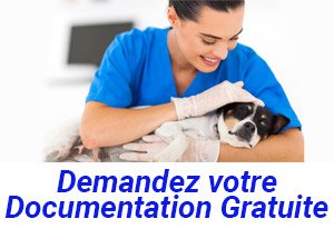 Documentation